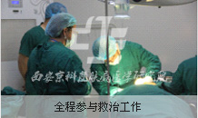 全程参与救治工作